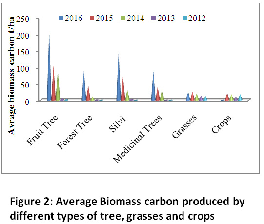 best grasses for carbon sequestration best grasses for carbon sequestration