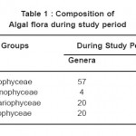 Table 1 : Composition of Algal flora during study period