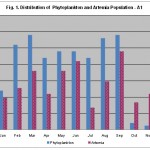 Distribution of phytoplankton and artemia in the solar salterns at Tuticorin - A 1