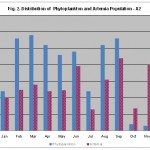 Distribution of phytoplankton and artemia  population - A 2