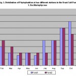 Distribution of phytoplankton and artemia in the solar salterns at Tuticorin Figure 3