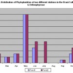 Distribution of phytoplankton and artemia in the solar salterns at Tuticorin Figure 6