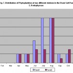 Distribution of phytoplankton and artemia in the solar salterns at Tuticorin Figure 7