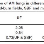 Table 1. Diversity indices of AM fungi in different study sites (undisturbed forests, UF; slash-and-burn fields, SBF and monoculture forests, MF)