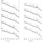 Fig. 2: XRD diffractogram for some clay fractions of representative soil samples