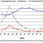 Fig. 2: The graph showing the relationship between abundance of E. chrysomelin & temperature