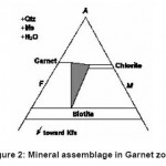 Figure 2: Mineral assemblage in Garnet zone