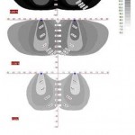 Fig. 3: Soil moisture distribution on treatments under shade S200%, S100% and S50% Root profiles