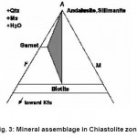 Fig. 3: Mineral assemblage in Chiastolite zone