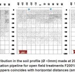 Fig. 4: Roots spatial distribution in the soil profile (Ã˜ <3mm) made at 20 cm from tree trunk and just underneath the irrigation pipeline for open field treatments F200%, F100% and F50%; the placement of the 2 drippers coincides with horizontal distances (small triangles Â±30cm).