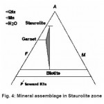 Fig. 4: Mineral assemblage in Staurolite zone