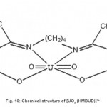 Fig. 10: Chemical structure of [UO2 (HMBUD)]2+
