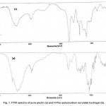 Fig. 1: FTIR spectra of pure pectin (a) and H-Pec-poly(sodium acrylate) hydrogel (b).