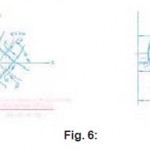 Fig. 6: