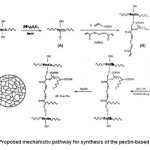 Scheme. 1: Proposed mechanistic pathway for synthesis of the pectin-based hydrogels.