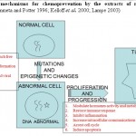 Fig. 1: Possible mechanisms for chemoprevention by the extracts of medicinal plants
