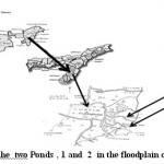 Fig. 1: Location of the two Ponds , 1 and 2 in the floodplain of Chatla Wetland 