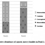 Fig. 3: Relative abundance of aquatic insect families in Pond 1 and Pond 2