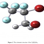 Fig. 1: The schematic structure of the C3H2F4Br2