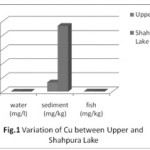 Fig. 1: Variation of Cu between Upper and Shahpura Lake