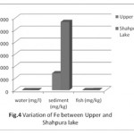 Fig. 4: Variation of Fe between Upper and Shahpura Lake