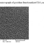 Fig. 3: SEM micrograph of pyridine functionalized TiO2 nanoparticles