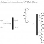 Fig. 1: A schematic model for modification of MWCNTs by dithizone