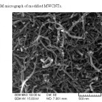 Fig. 2: SEM micrograph of modified MWCNTs