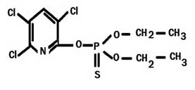 Structure of chlorpyrifos