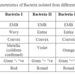 Table 1: Cultural characteristics of Bacteria isolated from different pond water 