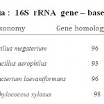 Table 1: Assam  bacteria :  16S  rRNA  gene â€“ based  identification