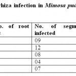 Table 3: Percentage of mycorrhiza infection in Mimosa pudica  at different sites of Cachar district