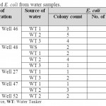 Table 3: Isolated E. coli from water samples.