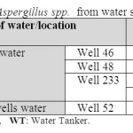 Table 6: Isolated Aspergillus spp.  from water samples.