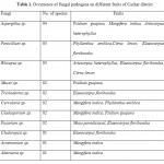 Table 1. Occurrence of fungal pathogens on different fruits of Cachar district