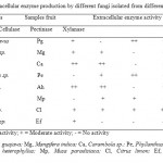 Table 2. Extracellular enzyme production by different fungi isolated from different fruits