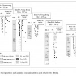 Figure 7. Soil profiles and arsenic contaminated in soil relative to depth.