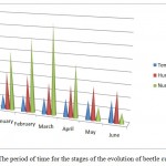 Fig (6) The period of time for the stages of the evolution of beetle cucurbits