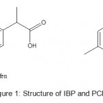 Figure 1: Structure of IBP and PCM