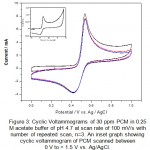 Figure 3: Cyclic Voltammograms of 30 ppm PCM in 0.25 M acetate buffer of pH 4.7 at scan rate of 100 mV/s with number of repeated scan, n=3. An inset graph showing cyclic voltammogram of PCM scanned between 0 V to + 1.5 V vs. Ag/AgCl.