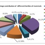 Fig. 4 Percentage contribution of different families of mammals
