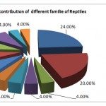 Fig.7. Percentage contribution of  different familie of Reptiles