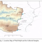 Fig. 1. Location Map of Wadi Mujib and the Collected Samples.