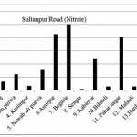 Sultanpur Road ( Nitrate)