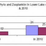 Variation in Phytoplankton community in Lower Lake during 2000 - 2010