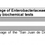 Table 2. Frequency and percentege of Enterobacteriaceae detected and identified by biochemical tests