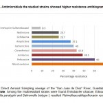 Figure 2. Antimicrobials the studied strains showed higher resistance antibiogram.