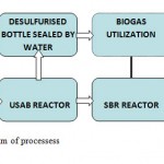 Figure 1. Schematic diagram of processess