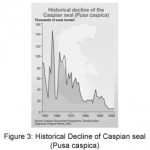Figure 3: Historical Decline of Caspian seal (Pusa caspica)