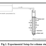 Fig.1. Experimental Setup for column study